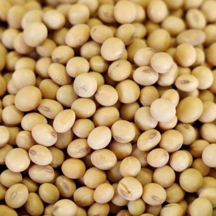 Chickpeas & Green Grams